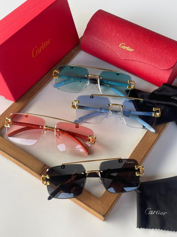 Cartier Sunglass - Image 6