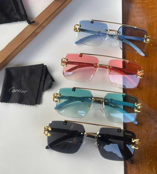 Cartier Sunglass - Image 3