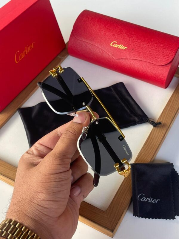 Cartier Sunglass - Image 10