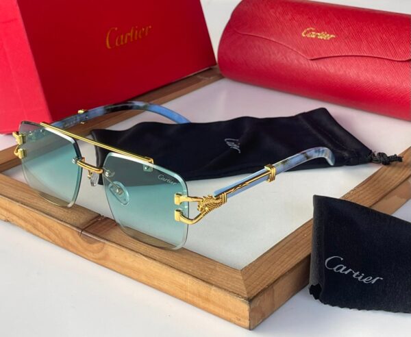 Cartier Sunglass - Image 11
