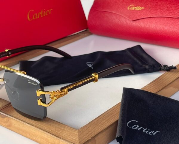 Cartier Sunglass - Image 12