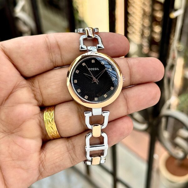 Fossil Olive Series - Image 5