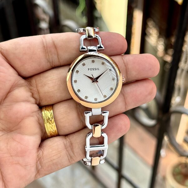 Fossil Olive Series - Image 4