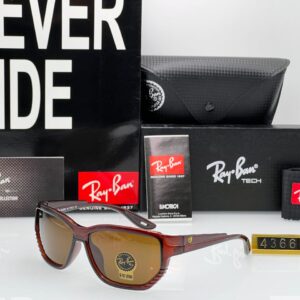 Rayban Sunglass