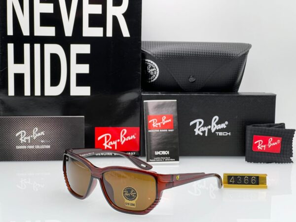 Rayban Sunglass